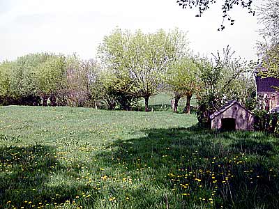 Hondenhok