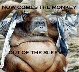 monkey_out_of_the_sleeve