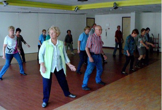 line_dancing_in_vlinderhei