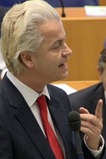 wilders_beeld_NOS