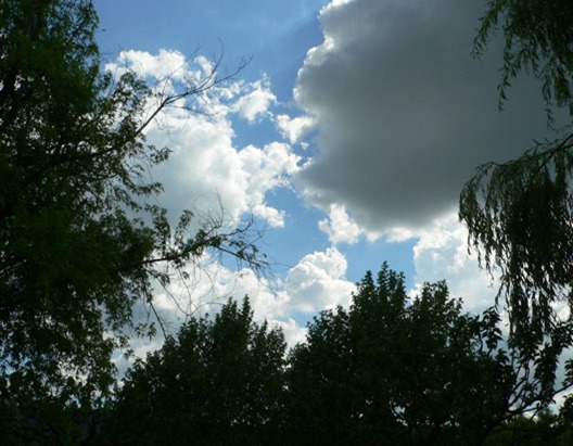 wolken