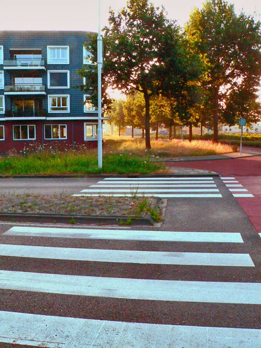 zebrapad_ringweg