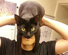 batmanlookalike