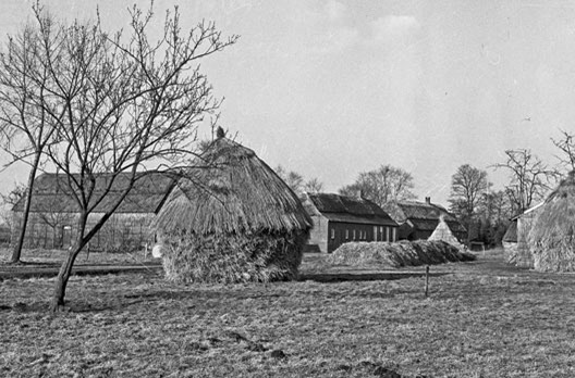 roggemijt-in-de-kempen_60er