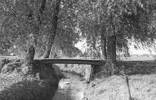 Beek-bij-Bavel_1980