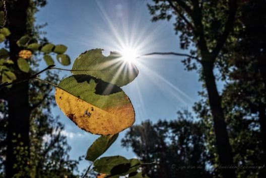 herfst