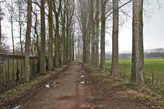 molenkampseweg3