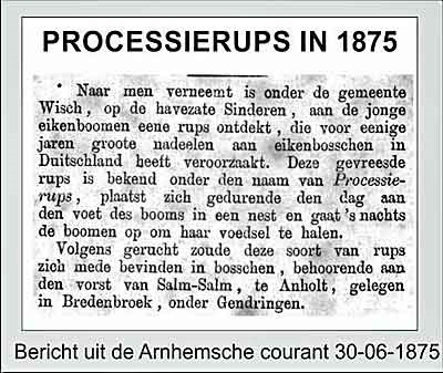 processierups1875